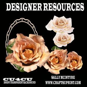 Apricot Roses Layered x 2 with Frame Designer Resource