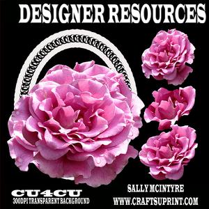 Designer Resource Ruffled Pink Rose and Frame