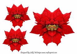 Folded Poinsettia Shaped Card with Matching Gift Cards
