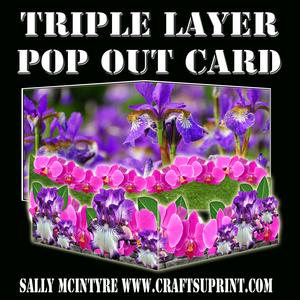 Triple Layer Iris Gardener Easy with Instructions