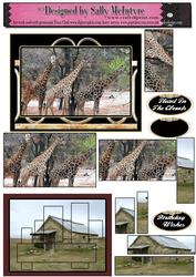 Mens Moments Giraffes and Stone Cottage