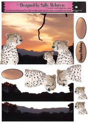 Magic in the Jungle Cheetah in the Sunset