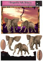 Elephants Rulers of the Jungle Sunset