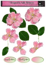 Pink Peony and Leaves 3D