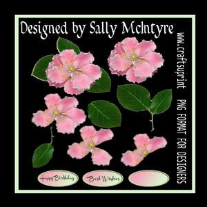 Peony Rose Cut Out for Digital Design with Leaves