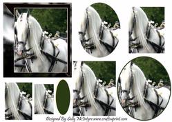 For the Horse Lover