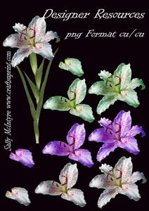 Lillies Cut Out Png Designer Resources