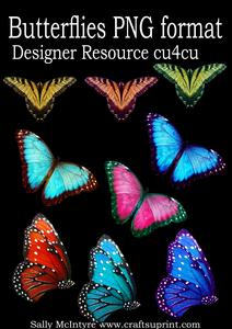 Butterflies Designer Resource