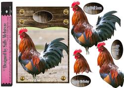 Rooster Cock of the Hen House