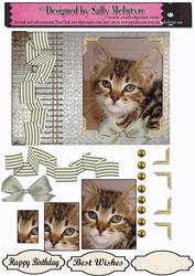 Pretty as a Picture Cat Card