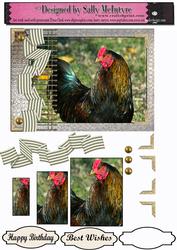 Chooks Hens and Roosters Range 1