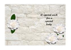 Insert a Special Wish for a Special Lady
