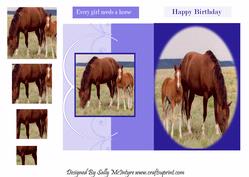 Every Girl Needs a Horse Happy Birthday Foldback Card with Pyramid