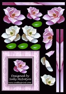 Magnolia,art Worked Lace Frame and Leaved Digital Resource