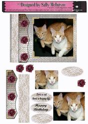 Ginger Cats Rule My Life