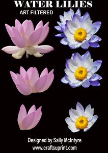 Waterlilies Cut Out Designer Resources,png Format Cu/ok