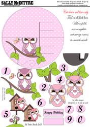 Pink Owls,round Step Card with 3D
