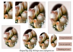 Just Roses Congratulations You Are Special Thinking of You