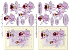 Orchids for My Mum May Happiness Be Yours on This Special Day Thank You with Sympathy Happy Birthday in Smaller Sized Card
