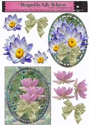 Water Lillies and Lyre Birds
