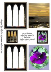 Through the Window Pansy and Sunset