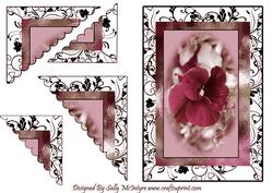 Pantastic,pink Pansys
