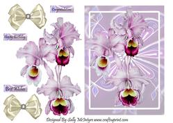 Orchids So Beautiful.