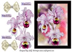 Orchids for a Special Event