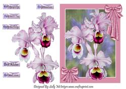 Beautiful Orchids for a Special Friend