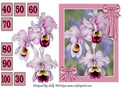 Orchids for a Special Lady 30-100