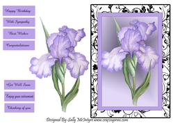 Black and White Framed Iris Happy Birthday , Congratulations, with Sympathy,best Wishes,thinking of You , Enjoy Your Retirement,get Well Soon