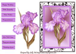 Pink Iris Happy Birthday , Congratulations, with Sympathy,best Wishes,thinking of You , Enjoy Your Retirement,get Well Soon