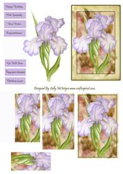 Iris Multi Greetings Pyramid and Step by Step Yellow