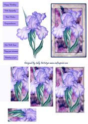 Iris Multi Greetings Pyramid and Step by Step