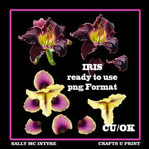 Iris 2 Colours 3D Ready to Use Cu/ok