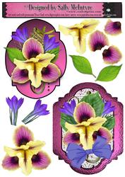 Iris and Lace 2 Card Sheet 3D for a Special Lady