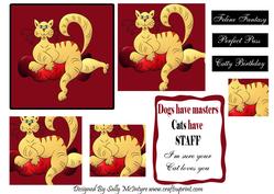 Cats Rule Dogs Have Master Cats Have Staff