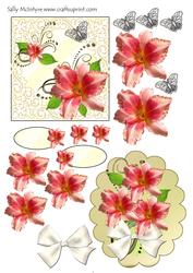 Lilium in Orange All Occasions Card