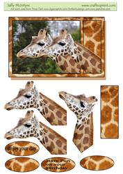 Giraffe High Jinks