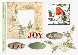 Robin at Christmas