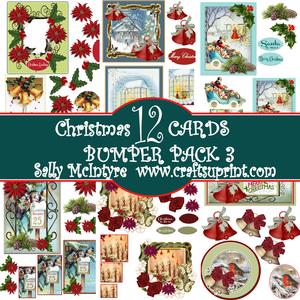 Bumper Kit No 3 Christmas 12 Cards