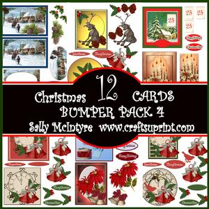 Bumper Kit 4 Christmas 12 Cards