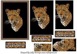 Jungle Mate Happy Birthday with Sympathy Get Well Soon