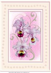 A4 Orchid Card Perfect for a Birthday Mothers Day Get Well or Thinking of You
