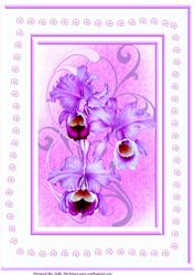 A4 Orchid Card Purples Perfect for a Birthday Mothers Day Get Well or Thinking of You