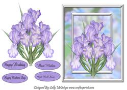 Loverly Pastel Iris Happy Birthday Get Well Soon Happy Mothers Day Best Wishes