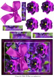 Purple Pansies