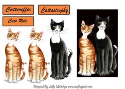 Catteriffic Cattastrophy Cats Rule