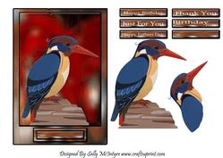 Birds for the Boys