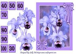 Orchids for a Special Lady 30 to 100 Purple